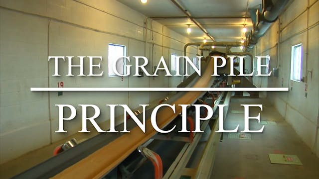 The Grain Pile Principle, Part Six