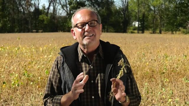 The Grain Pile Principle, Part Five