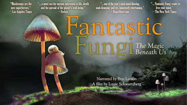 Fantastic Fungi - German