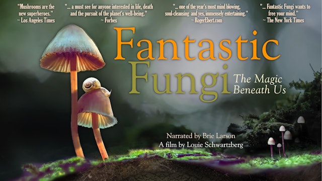 Fantastic Fungi - Spanish