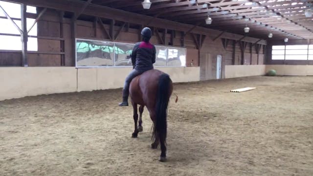 Colt Starting: Leg Yield Trot Circle Pattern Mounted