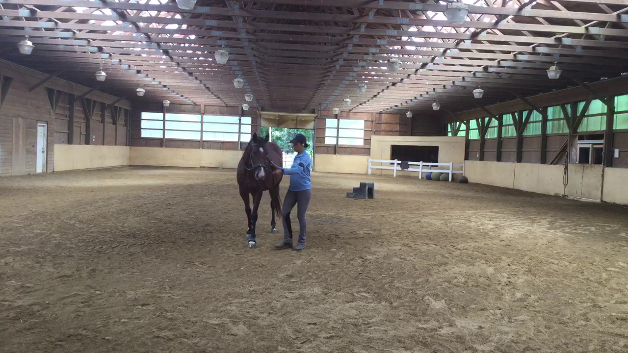 Patterns: In Hand-Basic Circle