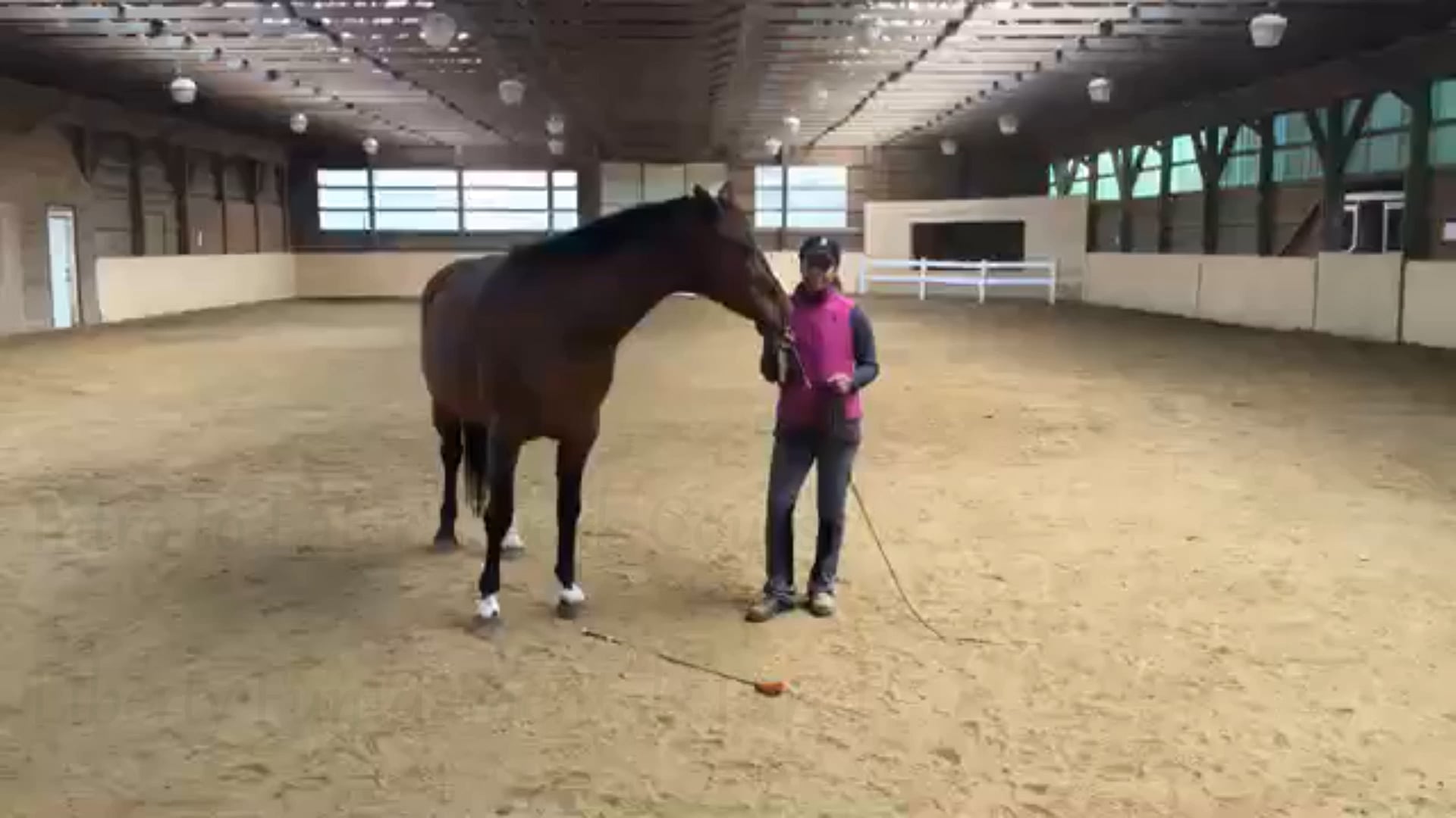 Lateral exercises at liberty Livestream