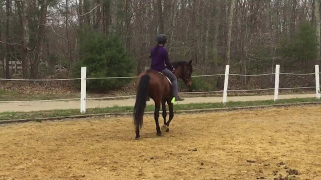 Colt Starting(Mounted): Change of bend Pattern with Lateral movements