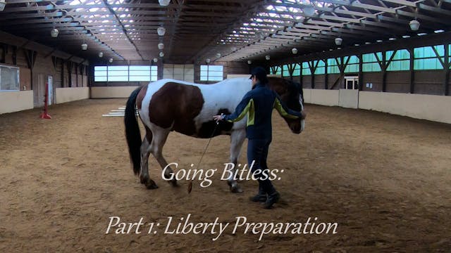 Going bitless: Liberty preparation part 1