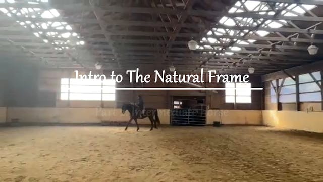 The Natural Frame part 2: The intermediate horse