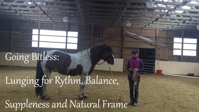 Going Bitless: Lunging exercises for bitless preparation