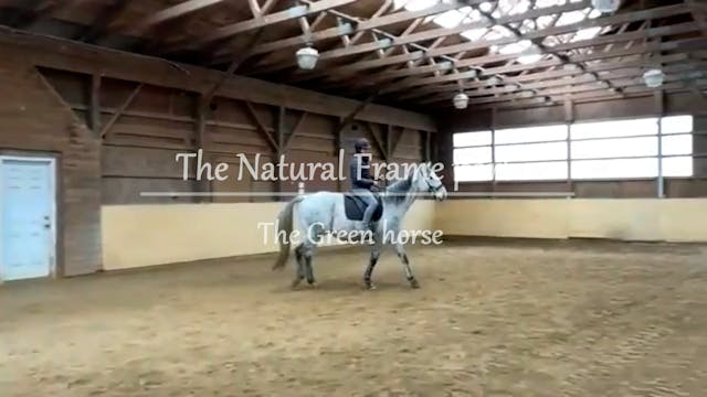 The Natural frame part 1: Green horse