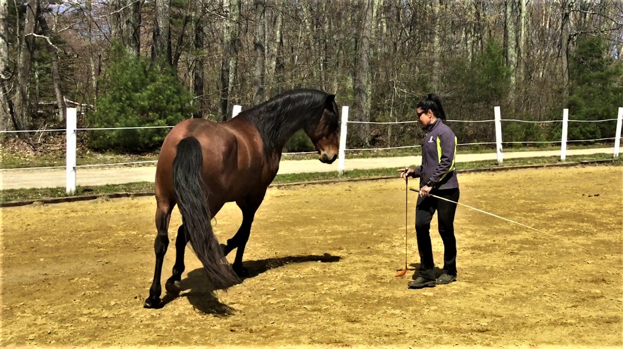 Lateral exercises at liberty Livestream