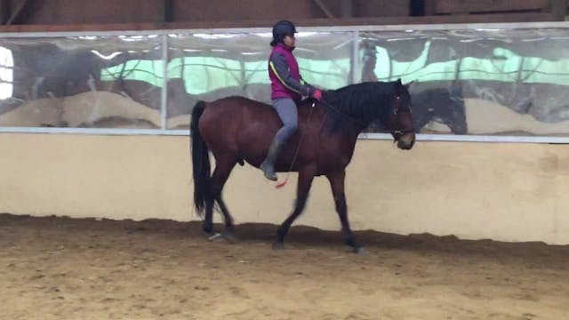 Early Riding Patterns part 2