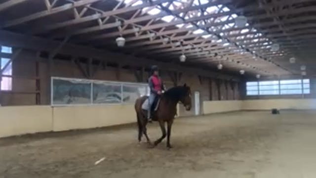 Articulate Embodied riding and IVAE method class 2