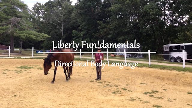 Liberty Fundamentals: Directional communication