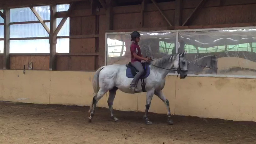 Patterns: Mounted Framing exercise 1