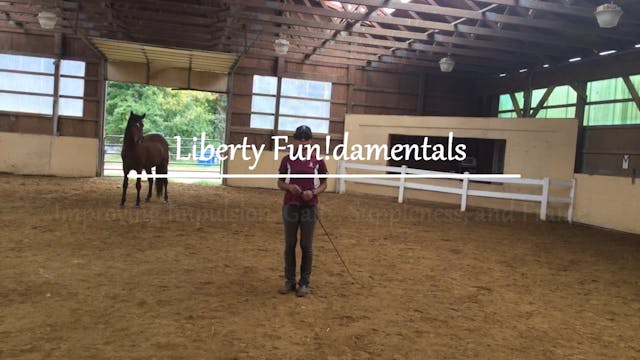 Improving your Horse Using Liberty Exercises