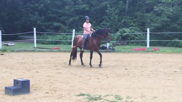 Colt Starting (Mounted): Suppleness flow warm up (green horse)