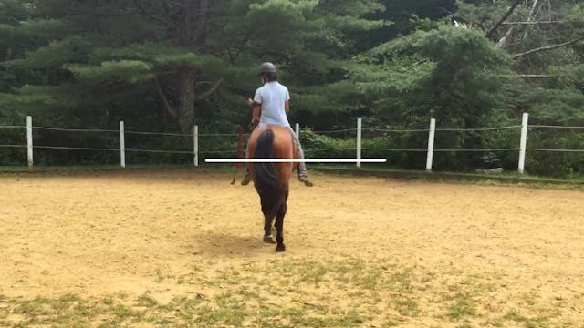 Colt Starting: Suppleness flow pattern part 2