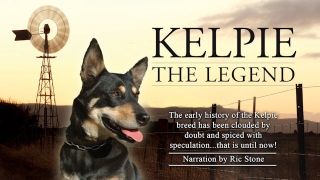 KELPIE THE LEGEND