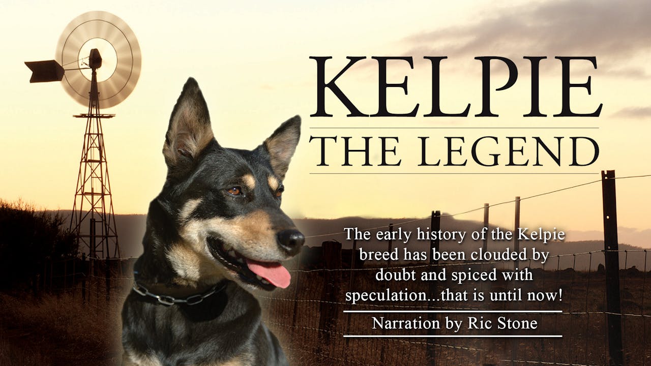 KELPIE THE LEGEND