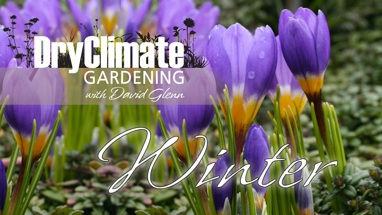 DRY CLIMATE GARDENING - WINTER