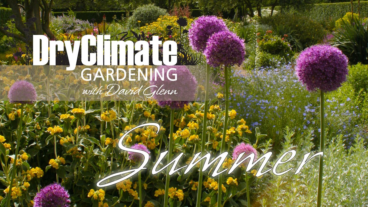 DRY CLIMATE GARDENING - SUMMER