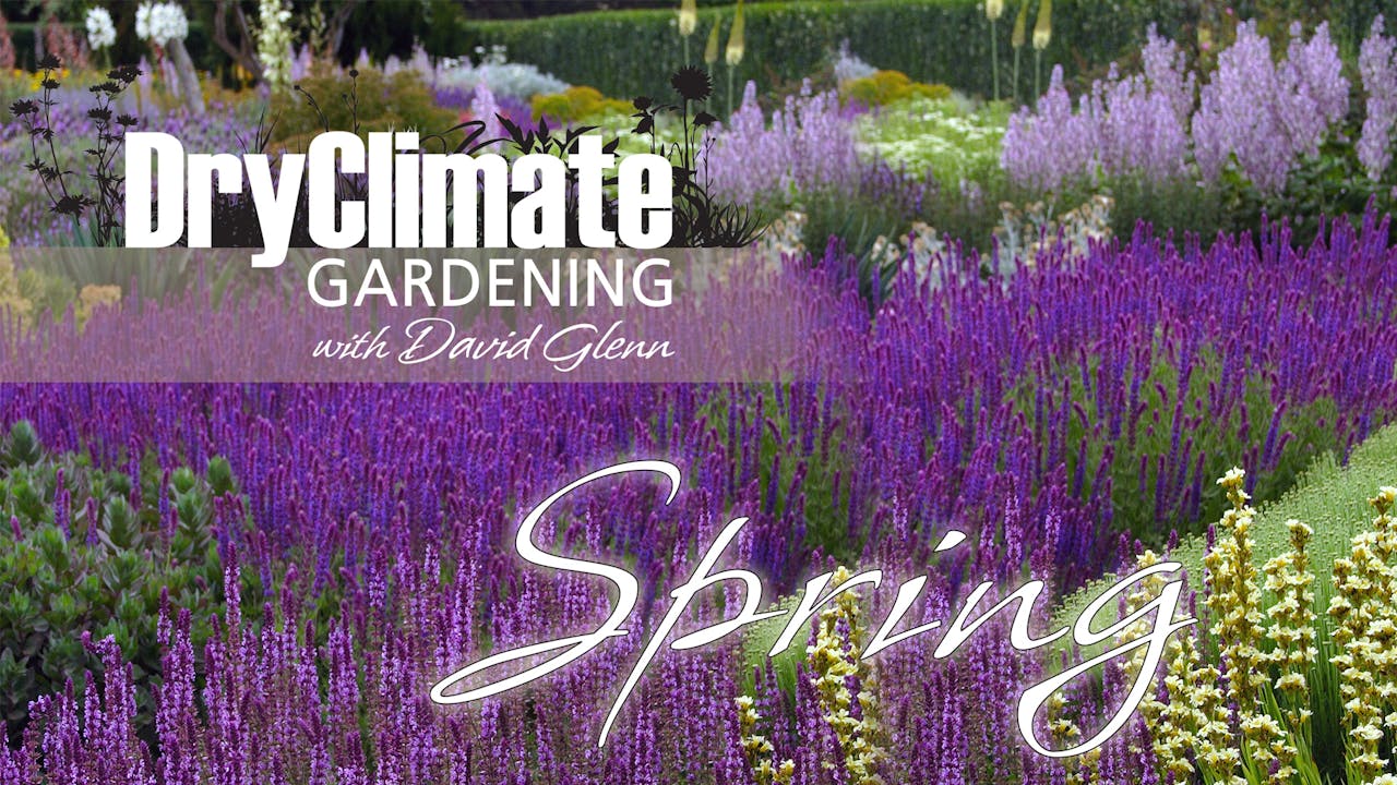 DRY CLIMATE GARDENING - SPRING