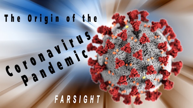 Origin of the Coronavirus Pandemic