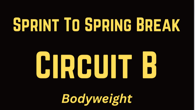 WEDNESDAY CIRCUIT B: Bodyweight