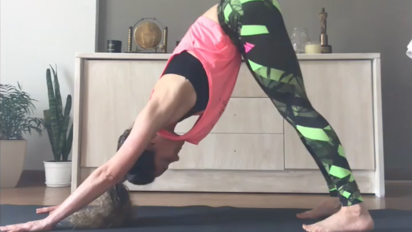 ELONGACIÓN - EN CASA