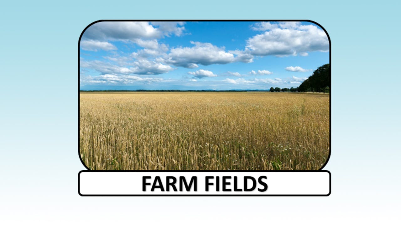Farm Fields