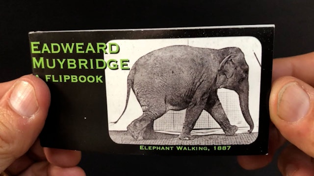 Muybridge Elephant Video_website