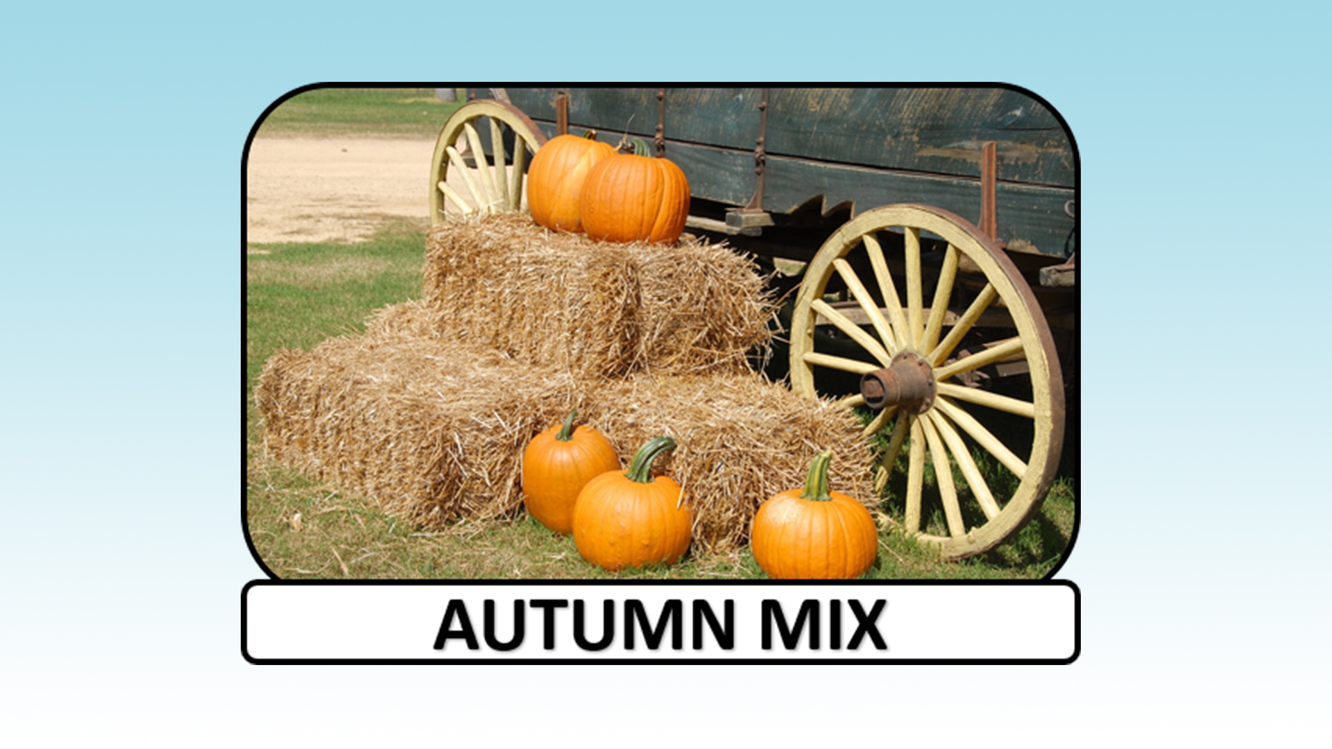 Autumn Mix