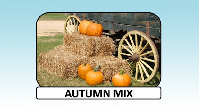Autumn Mix