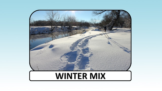 Winter Mix