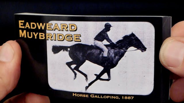 Muybridge Horse_website_bholu