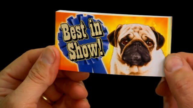 Best In Show 720