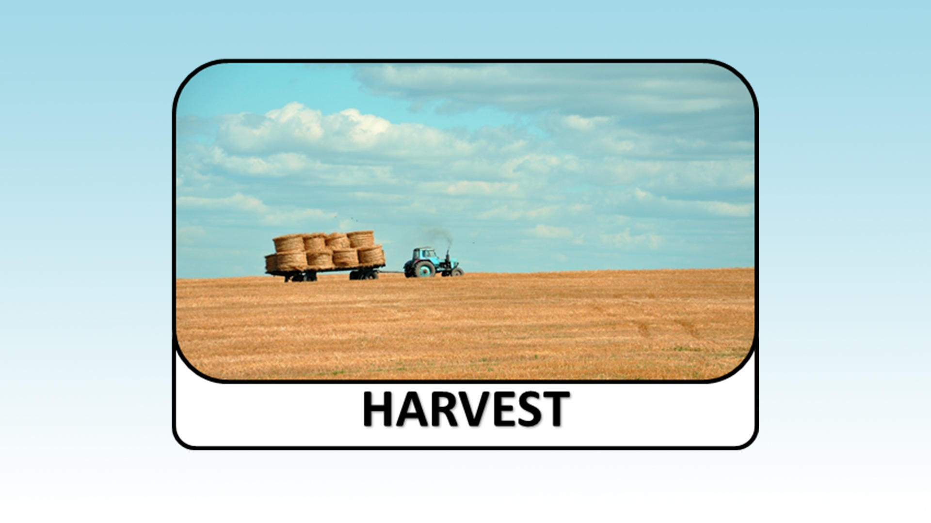Harvest