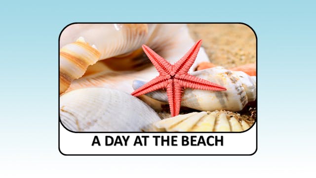 A Day at the Beach