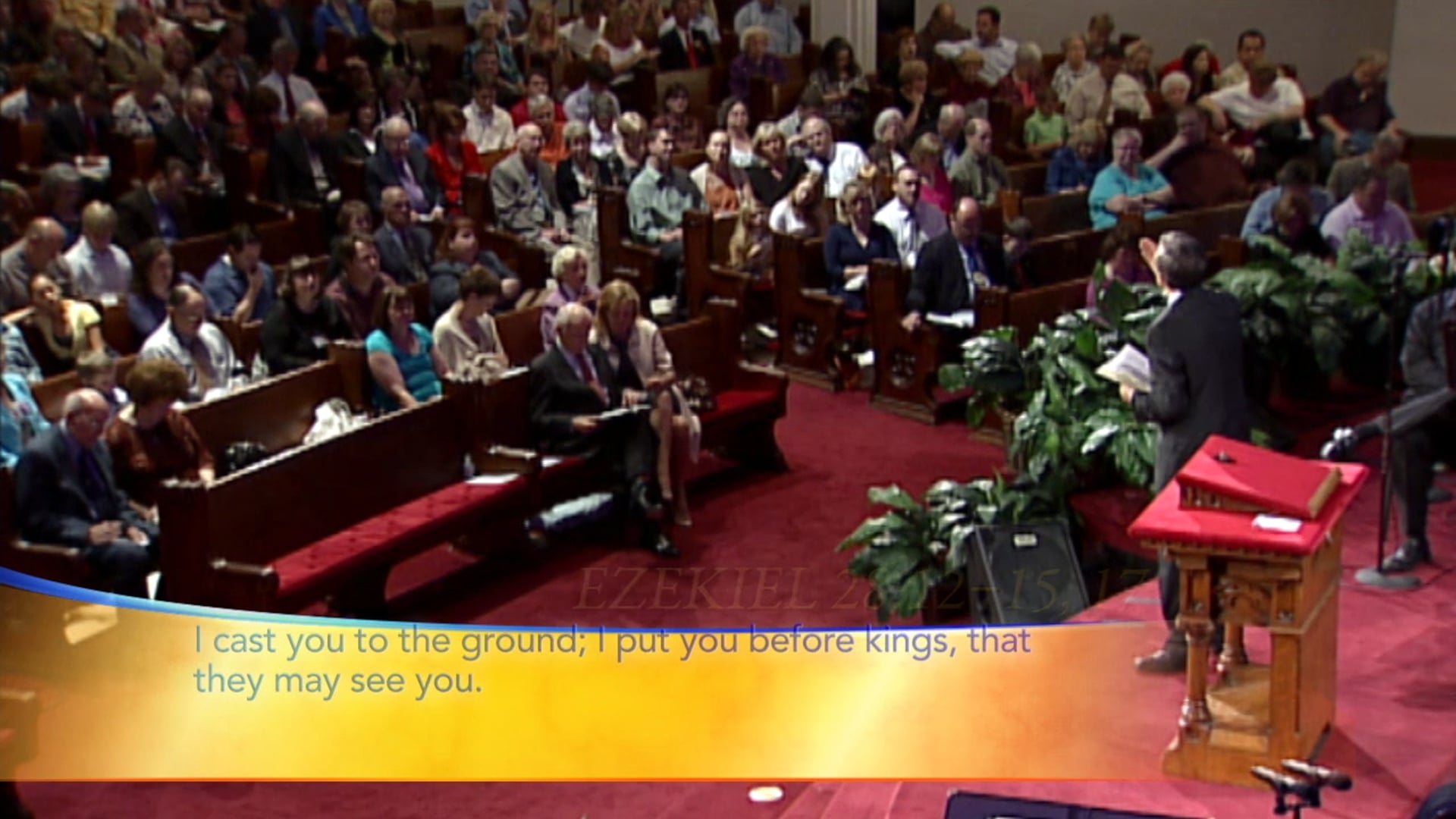 The Purpose Driven Strife