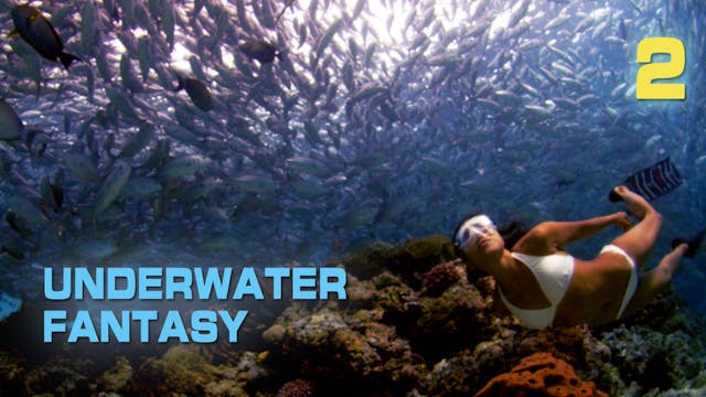 UWF2 show - prewarped