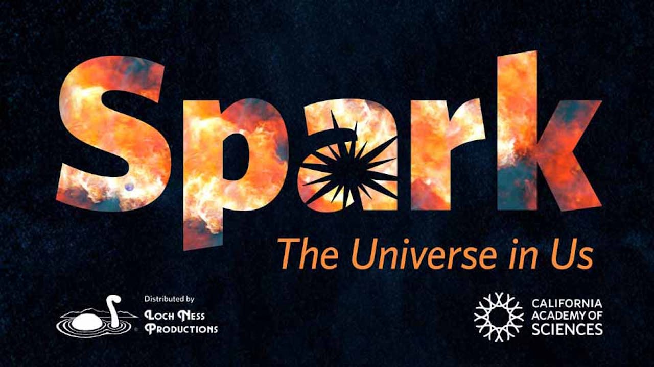 Spark