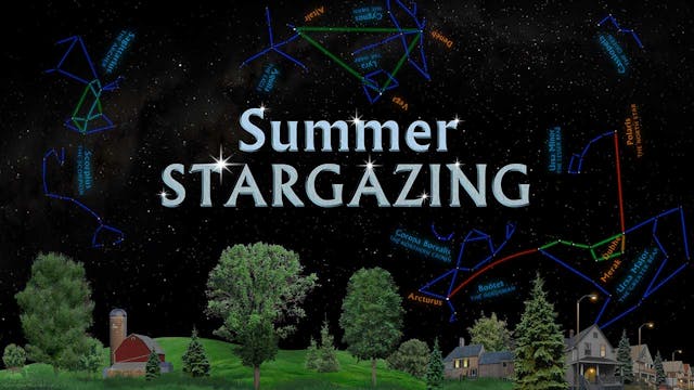 SSG Summer - prewarped