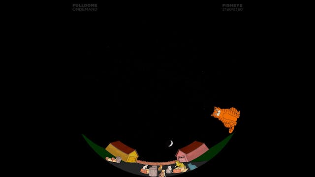 Larry_Cat_In_Space_FDOD_2160F_SPANISH