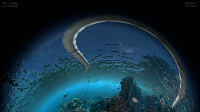 Expedition_Reef_FDOD_1920W_PRE