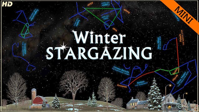 SSG winter mini - HD