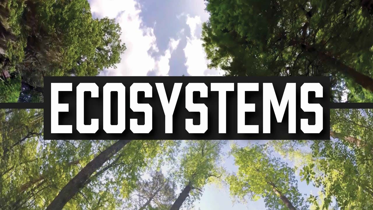 Ecosystems