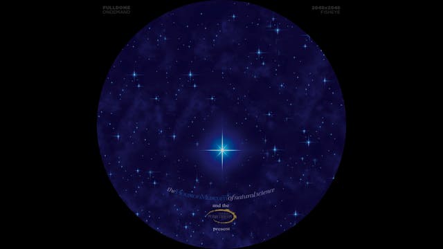 Star_Of_Bethlehem_fdod_2048F