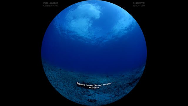 Wayfinders_FDOD_1080F