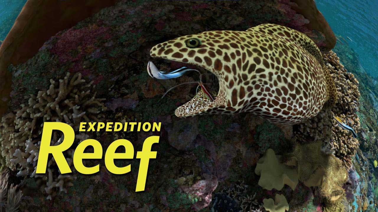 Expedition Reef [2160F]