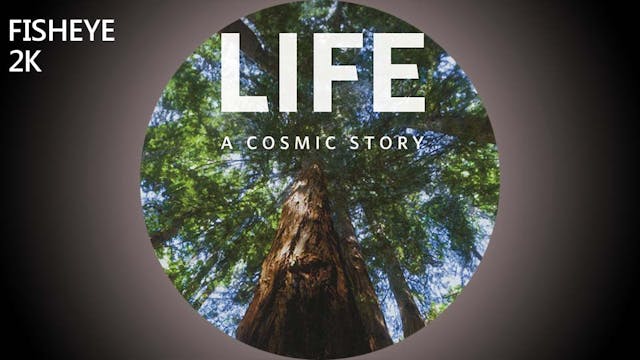 LACS show - fisheye 2k