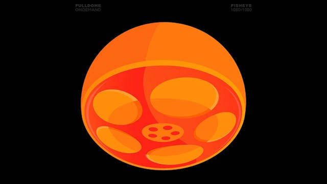 Cells_And_Tissue_FDOD_1080F